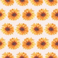 Beautiful sunflowers in a seamless pattern design