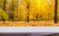 Beautiful sunlight in the autumn forest with wood able top, nature background, bokeh background. Royalty Free Stock Photo