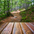 Beautiful sunlight in the autumn forest and wood planks floor