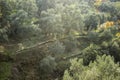 Beautiful sunlight drops on olive trees on hill at autumn Royalty Free Stock Photo