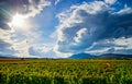 Beautiful sunlight over vineyards with blue sky and mountains on Royalty Free Stock Photo