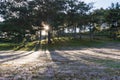 Beautiful sunlight on the pink meadow and dew on grass at sunrise part 8 Royalty Free Stock Photo