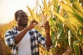 Beautiful sunlight. Young black man is standing in the cornfield at daytime Royalty Free Stock Photo