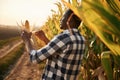 Beautiful sunlight. Young black man is standing in the cornfield at daytime Royalty Free Stock Photo