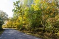 Sunlit curved country road in fall colors Royalty Free Stock Photo