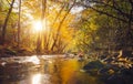 Beautiful sunlit river in woods autumn landscape