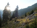 Autumn hiking and mountaineeting in brandenburger alpen in austria