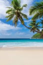 Tropical sunny beach and coconut palms Paradise island Royalty Free Stock Photo