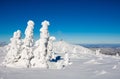 Amazing winter landscape in Giant mountains in sunny day