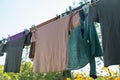 Male T-Shirts of dark colours hanging on the rope in the garden Royalty Free Stock Photo