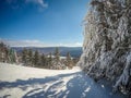 Beautiful sunny day on slopes of snowshoe mountain in cass west