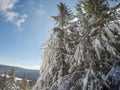 Beautiful sunny day on slopes of snowshoe mountain in cass west Royalty Free Stock Photo