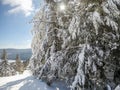 Beautiful sunny day on slopes of snowshoe mountain in cass west Royalty Free Stock Photo