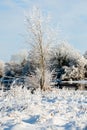 Beautiful sunny day in the winter on the river Royalty Free Stock Photo