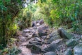 The beautiful sunny hiking road in Sai Kung East Country Park in Hong Kong