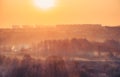 Beautiful sunny landscape with forest and city buildings on the horizon in the frosty winter morning