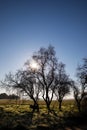 Beautiful sunny morning over field in winter with water well under tree without leaves Royalty Free Stock Photo