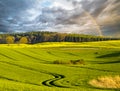 Beautiful sunny morning on a summer meadow,rainbow