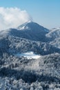 Beautiful sunny morning winter landscape of snow covered spruce forest hillside Royalty Free Stock Photo