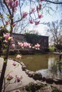 Beautiful sunny spring day in japanese garden in Budapest Royalty Free Stock Photo