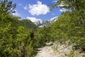 Beautiful sunny summer day in Paklenica National Park Croatia Royalty Free Stock Photo