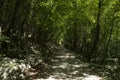 Beautiful sunny summer day in Paklenica National Park Croatia Royalty Free Stock Photo