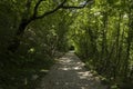 Beautiful sunny summer day in Paklenica National Park Croatia Royalty Free Stock Photo