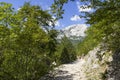 Beautiful sunny summer day in Paklenica National Park Croatia Royalty Free Stock Photo