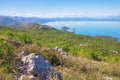 Beautiful sunny summer landscape. Montenegro. View of lake Skadar Royalty Free Stock Photo