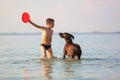 Beautiful sunny summer scenery. On the day the small boy is playing, running jumping with the hunting brown dog at the lake. Royalty Free Stock Photo