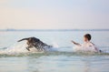 Beautiful sunny summer scenery. On the day the small boy is playing, running jumping with the hunting brown dog at the lake. Royalty Free Stock Photo