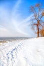 Beautiful sunny winter day Royalty Free Stock Photo