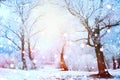 Winter scene. Snow covered trees and frozen river Royalty Free Stock Photo