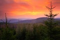 Beautiful sunrise above spruce forest. Orange and red sky during morning. Krkonose mountain, forest in the wind, misty landscape, Royalty Free Stock Photo