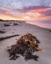 Stunning Sunrise At Queenscliff Pier Royalty Free Stock Photo