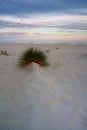 Sunrise on the Baltic Sea coast, sand dunes, beach, Kolobrzeg, Poland.