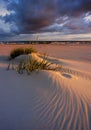 Sunrise on the Baltic Sea coast, sand dunes, beach, Kolobrzeg, Poland. Royalty Free Stock Photo