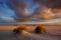 Sunrise on the Baltic Sea coast, sand dunes, beach, Kolobrzeg, Poland. Royalty Free Stock Photo