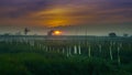 Beautiful sunrise in the cloud with rice field in tanjung rejo kudus, indonesia Royalty Free Stock Photo