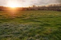Beautiful sunrise in a country side. Simple rural area with green meadow and wooden fence for cattle. Sun glow in the background.