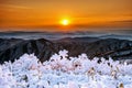 Beautiful sunrise on Deogyusan mountains covered with snow in winter, Korea. Royalty Free Stock Photo