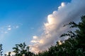 Beautiful sunrise and dramatic clouds on the sky. Green trees backed by a bright blue sky and clouds background Royalty Free Stock Photo