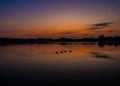 Beautiful sunrise with ducks at Furzton Lake, Milton Keynes