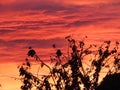 Beautiful sunrise in germany, bavaria with colorful, mystic cloueds