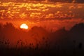 Beautiful sunrise with golden clouds over a field of wild