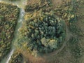 Beautiful sunrise image of drone aerial view of Autumn Fall forest scene landscape Royalty Free Stock Photo