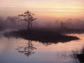 Beautiful sunrise in Kakerdaja Bog Royalty Free Stock Photo