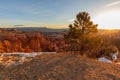 Bryce Canyon National Park Sunrise Landscape in Winter Royalty Free Stock Photo