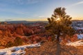 Scenic Bryce Canyon Utah Winter Sunrise Landscape Royalty Free Stock Photo