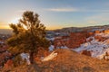 Scenic Bryce Canyon Winter Sunrise Landscape Royalty Free Stock Photo